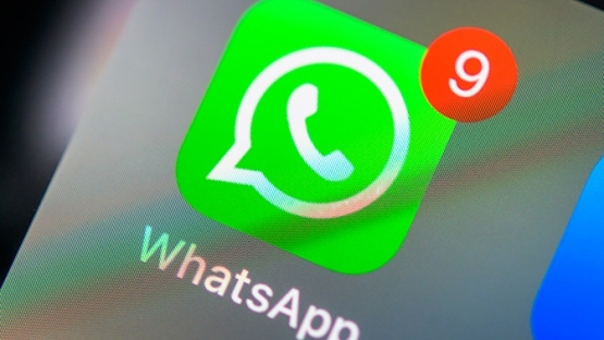WhatsApp иловасида янги функция пайдо бўлди