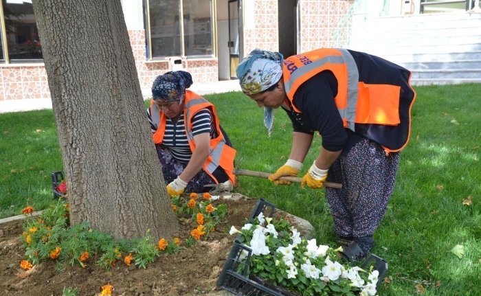 Тошкент шаҳрида мавсумий гул экиш учун 10 млрд сўм ажратилди