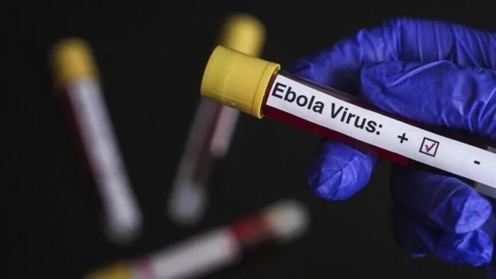 Kongo Demokratik Respublikasida Ebola bilan kasallanish holatlari soni 2000 dan oshdi