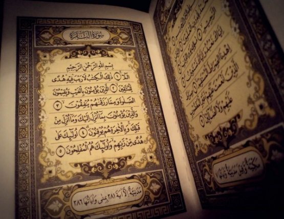 Baqara surasini o‘qisangiz… Baqara surasini o‘qisangiz…