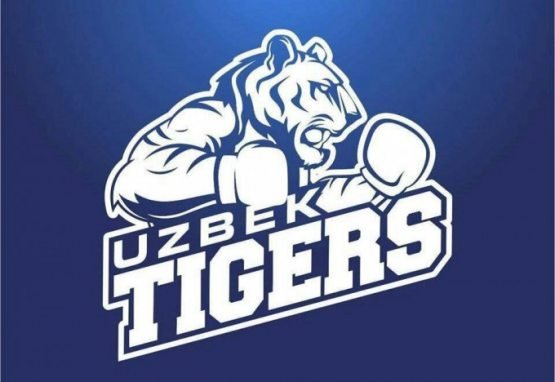 OAV: Uzbek Tigers jamoasi tarqatib yuborildi