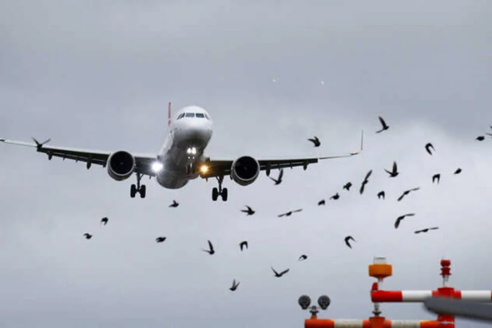 Италия Россия делегациясининг Женевага йўл олган самолётининг учиб ўтишига рухсат берди